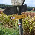 Photograph of Chemin d'amadour signage