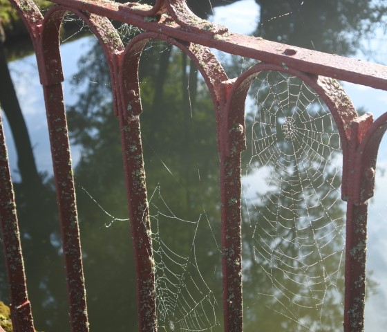 Spiders webs on the bridge into Serres