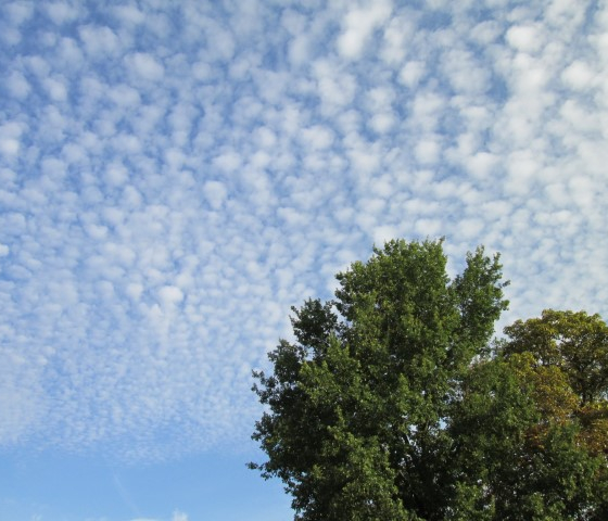 Skies-3