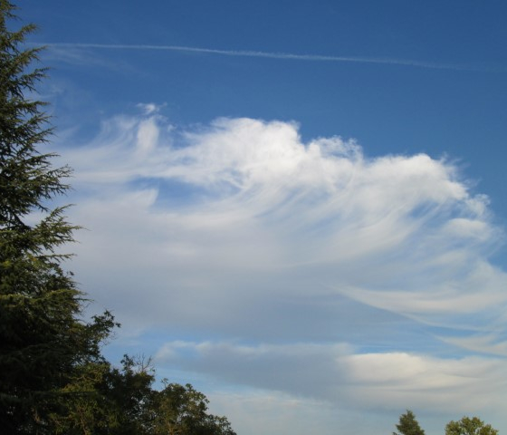 Skies-4