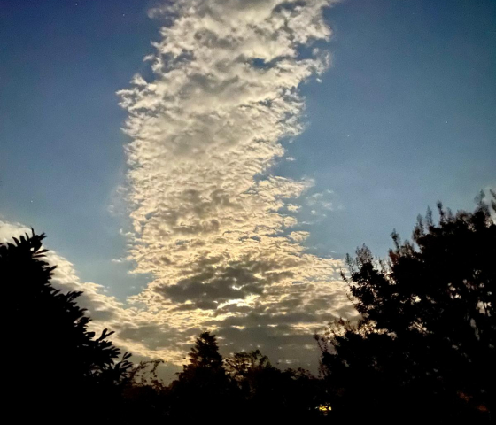 Skies-9